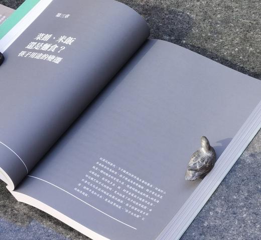 【薅羊毛4】《筷子：饮食与文化》，平装，16开，[美]王晴佳著，香港三联2022年初版一刷， 376页，定价148，售价48元。 商品图12