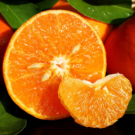 【会员8/斤】广西武鸣翡翠沃柑 商品图2