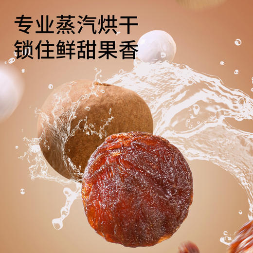 三只松鼠 量贩袋装_桂圆干500g 商品图5