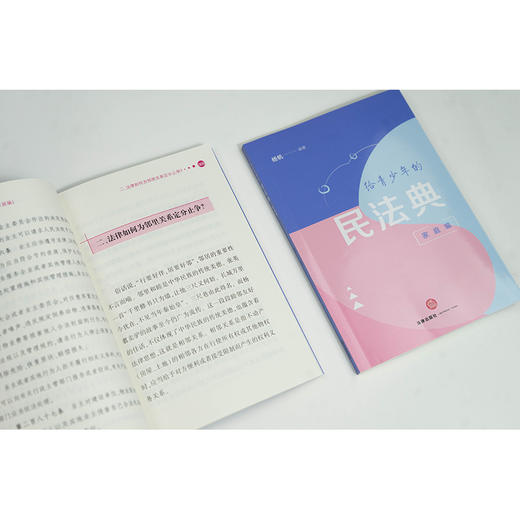 给青少年的民法典.家庭编 商品图4