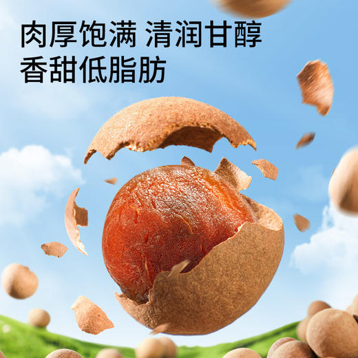 三只松鼠 量贩袋装_桂圆干500g 商品图3