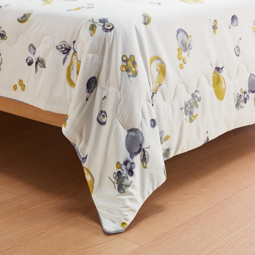 夏日凉被空调被A类抗菌强冷感薄被床垫枕垫 S25 水果 商品图2