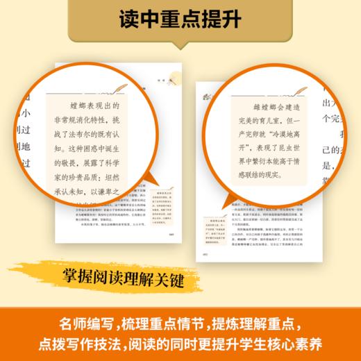 名著阅读课程化丛书 昆虫记 八年级下册(升级版) 商品图4