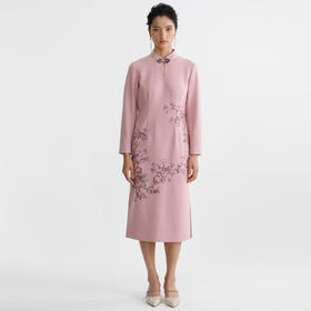 戴布拉芬连衣裙L29A505