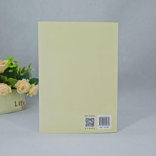 大中小学思政课一体化建设的理论与实践 商品图4