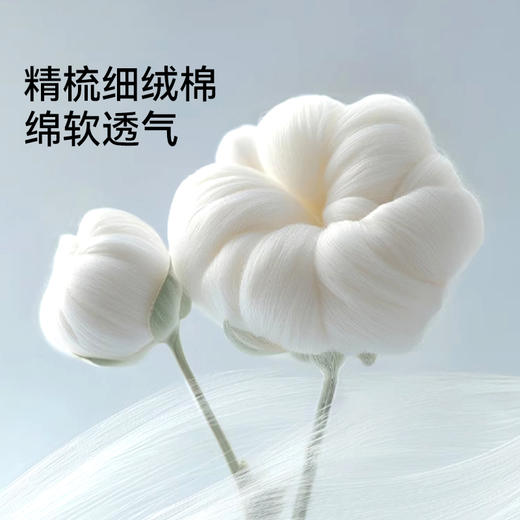 MILOFISH米乐鱼2026开学季新品儿童中筒纯棉袜 4双装 商品图3