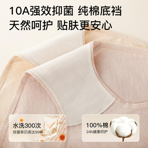 N2-4条装【10A抑菌纯棉裆】柔软提花棉高弹透气中腰女士内裤女 花影私藏+云棉织月 商品图2