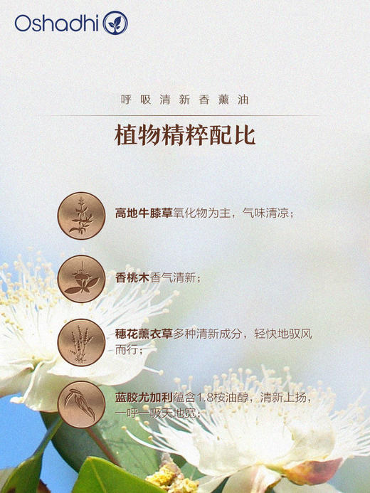oshadhi德国O家呼吸清新香薰油香氛精油植物精油10ml 商品图2