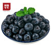 2025 西昌高山阳光花香蓝莓 L25 应季新鲜 产地直发 顺丰空运 商品缩略图2
