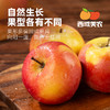 西域美农 瑞香红苹果 新疆疆樱桃苹果 商品缩略图1
