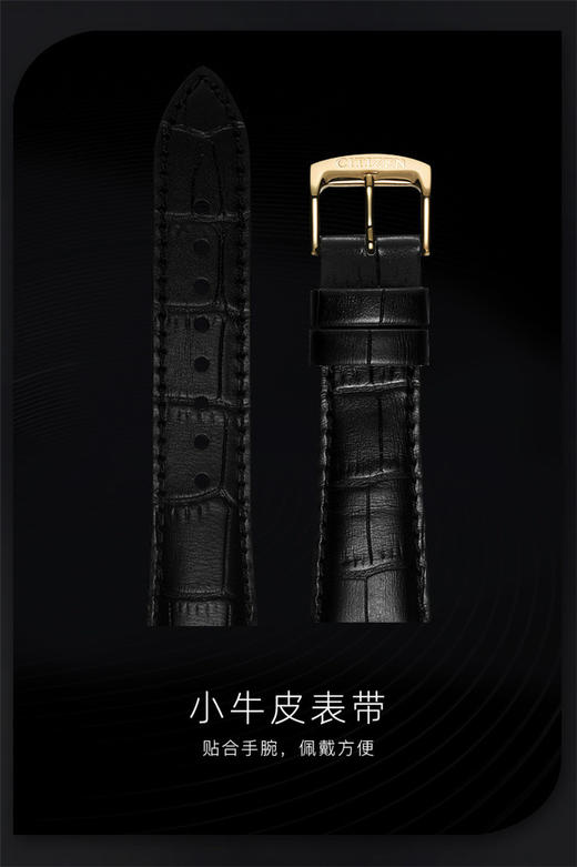 SHNJ0133-12E 西铁城Citizen 西铁城自动机械表商务皮带手表男表NJ0133-12E 商品图4