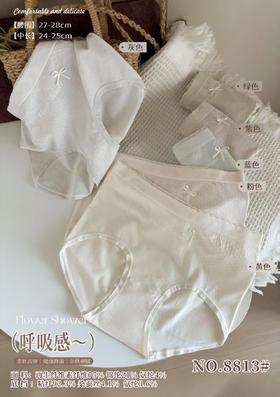 女士加大版内裤透气简约少女内裤女8813