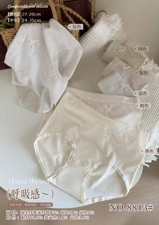 女士加大版内裤透气简约少女内裤女8813 商品图0