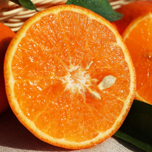 【会员8/斤】广西武鸣翡翠沃柑 商品图3