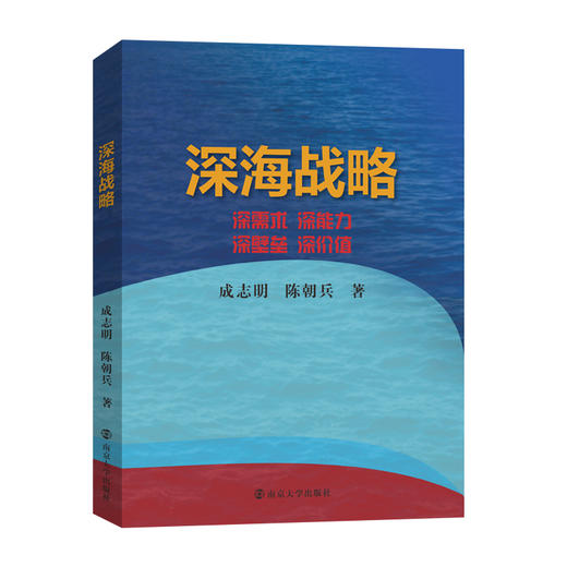 深海战略:深需求 深能力 深壁垒 深价值 商品图0