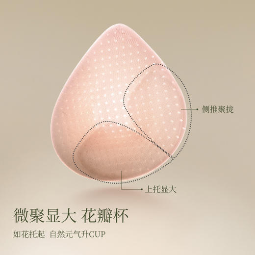 【E】素肌良品内衣女小胸聚拢蕾丝性感胸罩无钢圈防下垂薄款无痕文胸MX215 商品图3