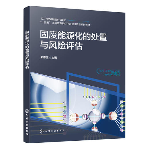 固废能源化的处置与风险评估 商品图1