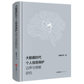 大数据时代个人信息保护边界与策略研究 郭春镇等著 法律出版社