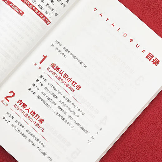 爆款:小红书从起号到变现 商品图3