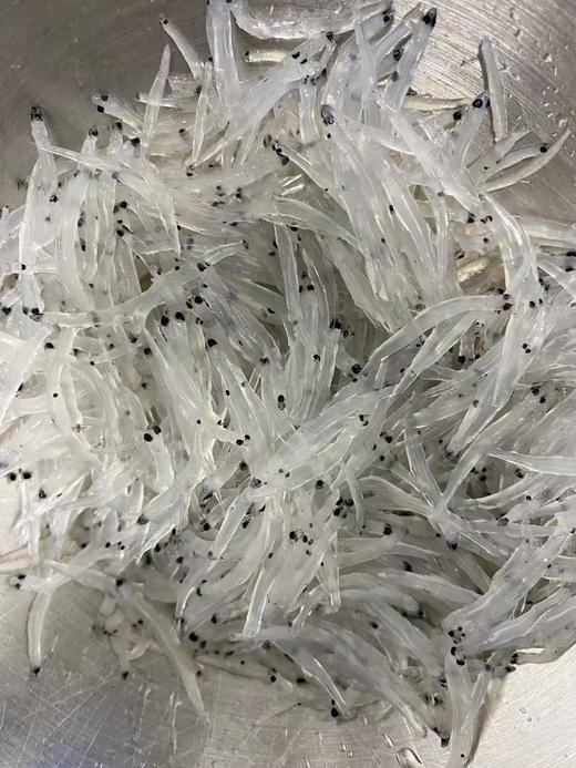 xm【强烈推荐！海捕不是养殖货！！！】补钙神器~新鲜小银鱼，灯照木敲大海里捞上来的 无小刺，整条吃易吸收，辅食必备活冻锁鲜~ 商品图3