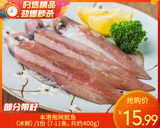 本港拖网鱿鱼（冰鲜）/1份（7-11条，共约400g） 商品图0