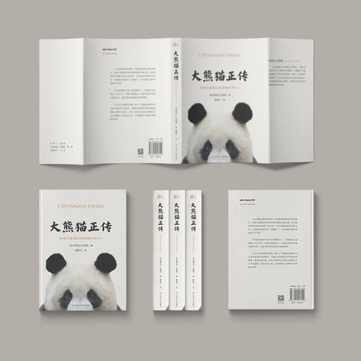 大熊猫正传 商品图4