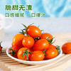 【火山双味小番茄】黄紫双色，酸甜双杀，顺丰发货！ 商品缩略图4