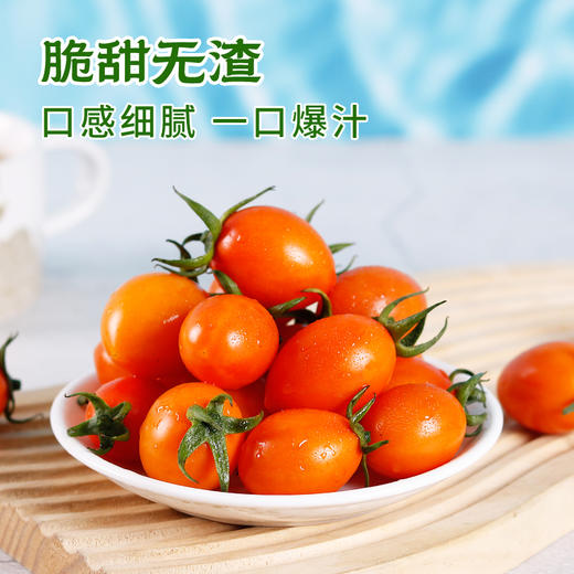 【火山双味小番茄】黄紫双色，酸甜双杀，顺丰发货！ 商品图4