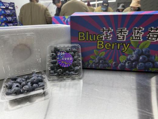 【云南花香蓝莓】蓝莓升级！果园直采，新鲜直达！硬度好，果粉足，风味绝佳。（周一、三、五12:00前下单，48小时内发货。） 商品图11