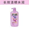 飘柔930g双效水润洁顺洗发露 商品缩略图1