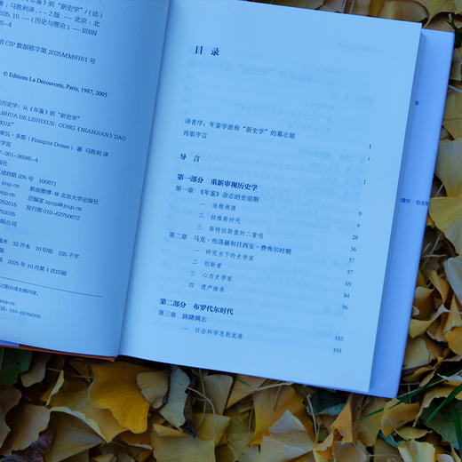 碎片化的历史学:从《年鉴》到新史学 商品图4