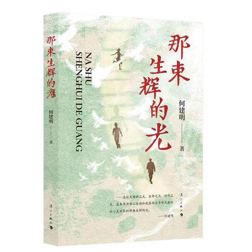 那束生辉的光 商品图1