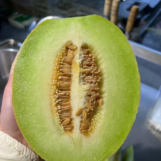 【嘎嘎好吃的佛罗蜜瓜】 黄皮 绿瓤 嘎嘎脆甜 爱吃脆甜瓜的强烈推荐[色]刚到的新货 商品图4