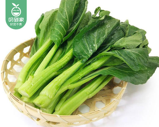 秉真安溪高山有机菜心/1份（约300g） 商品图3