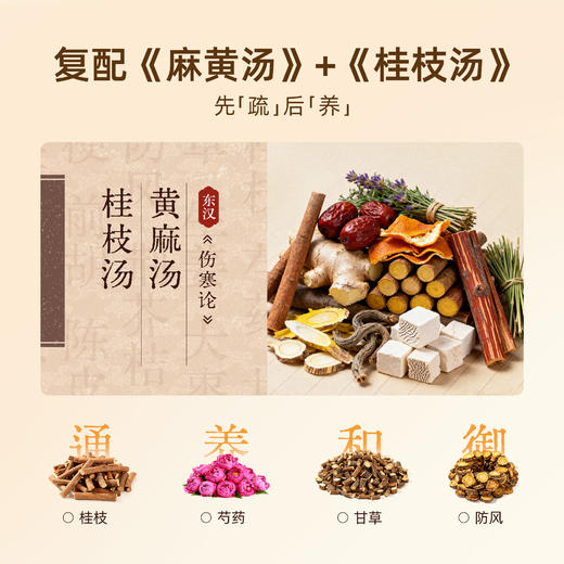 桂枝防风纤背贴   大面积热敷     12味草本成分    get仙女背 商品图3