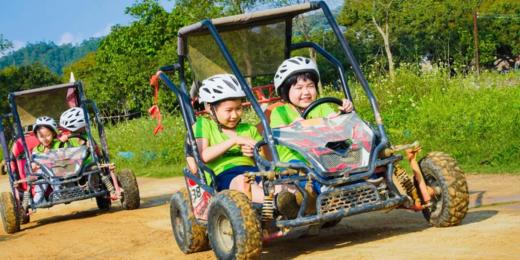 增城迟菜心秋日野趣营 商品图2