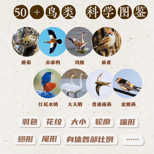 小鸟科普手账本·丝网覆膜 商品图2