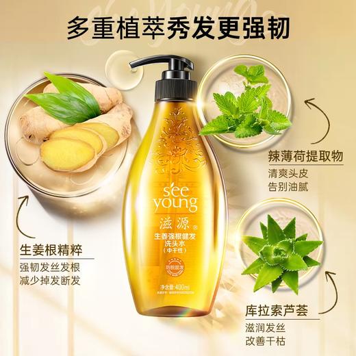 滋源丨 生姜强韧奢养防断洗头水  400ml/瓶 （ 中干性） 商品图1