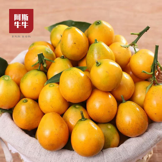 2025 大凉山脆蜜金柑 新鲜应季 现摘现发 商品图0