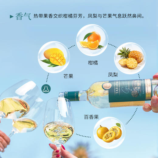 【新品上市 微醺新主张】智利半甜白葡萄酒  红蔓庄园珍柔长相思白葡萄酒750ml 商品图2