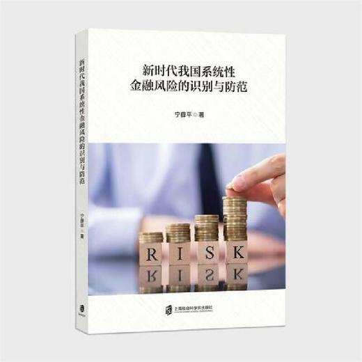 新时代我国系统性金融风险的识别与防范 商品图0