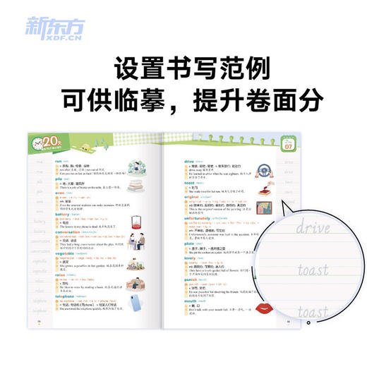 20天背完PET核心词汇 商品图3