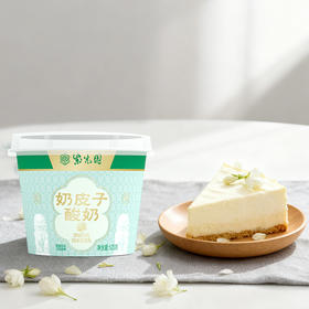 【紫光园奶皮子酸奶】限时买6送1❗赠礼袋