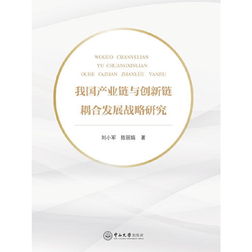 我国产业链与创新链耦合发展战略研究 商品图0