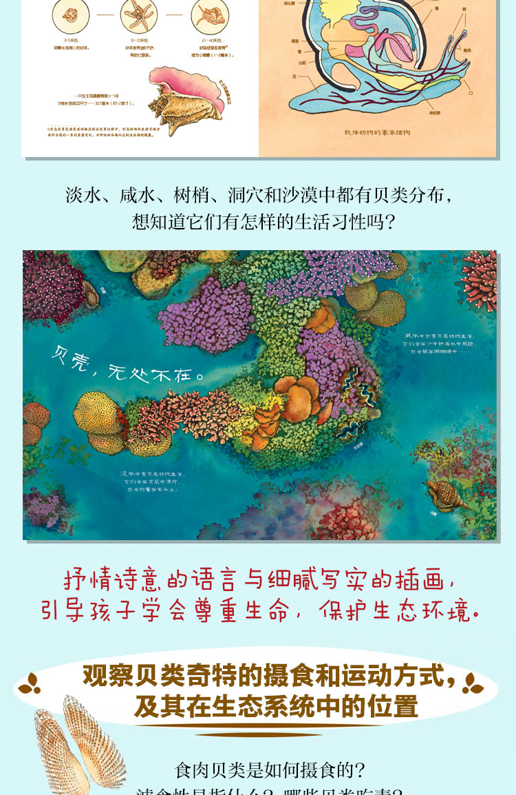 美丽成长6册详情页(贝壳)-详图_04.jpg