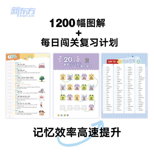 20天背完PET核心词汇 商品图2