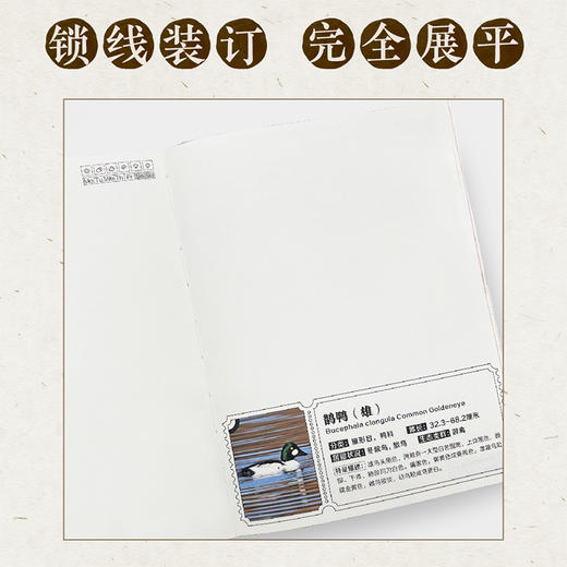 小鸟科普手账本·精装刷边 商品图4