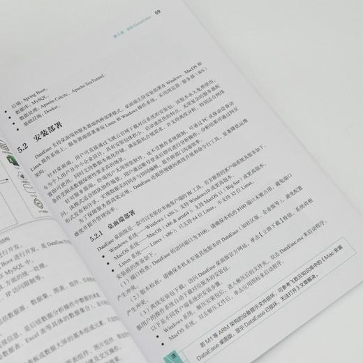 数据可视化分析与实践 DataEase教程书籍 数据分析从入门到精通 数据采集预处理图表设计 商品图3