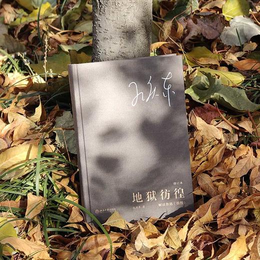 地狱彷徨:解读鲁迅《彷徨》(修订本) 商品图1