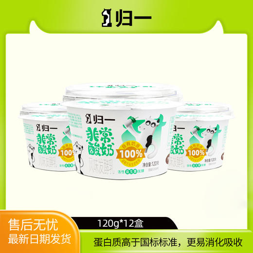 预售十天 归一非常酸奶风味发酵乳120g*12盒 自有奶源+活性益生菌的酸奶 商品图0